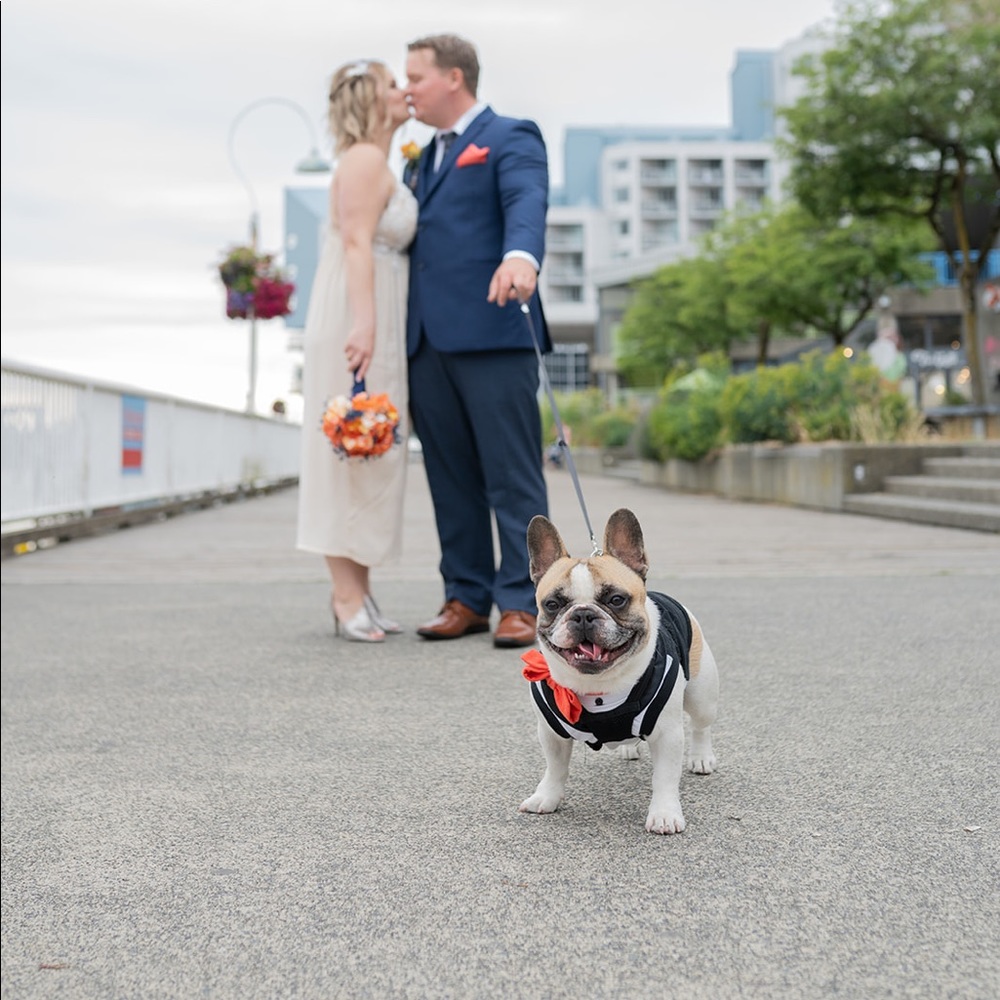 Meet your Posher, Tanya